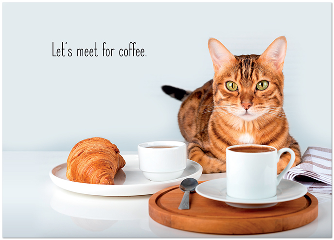 BLANK Cat Caffe Meme Card D3440D-V